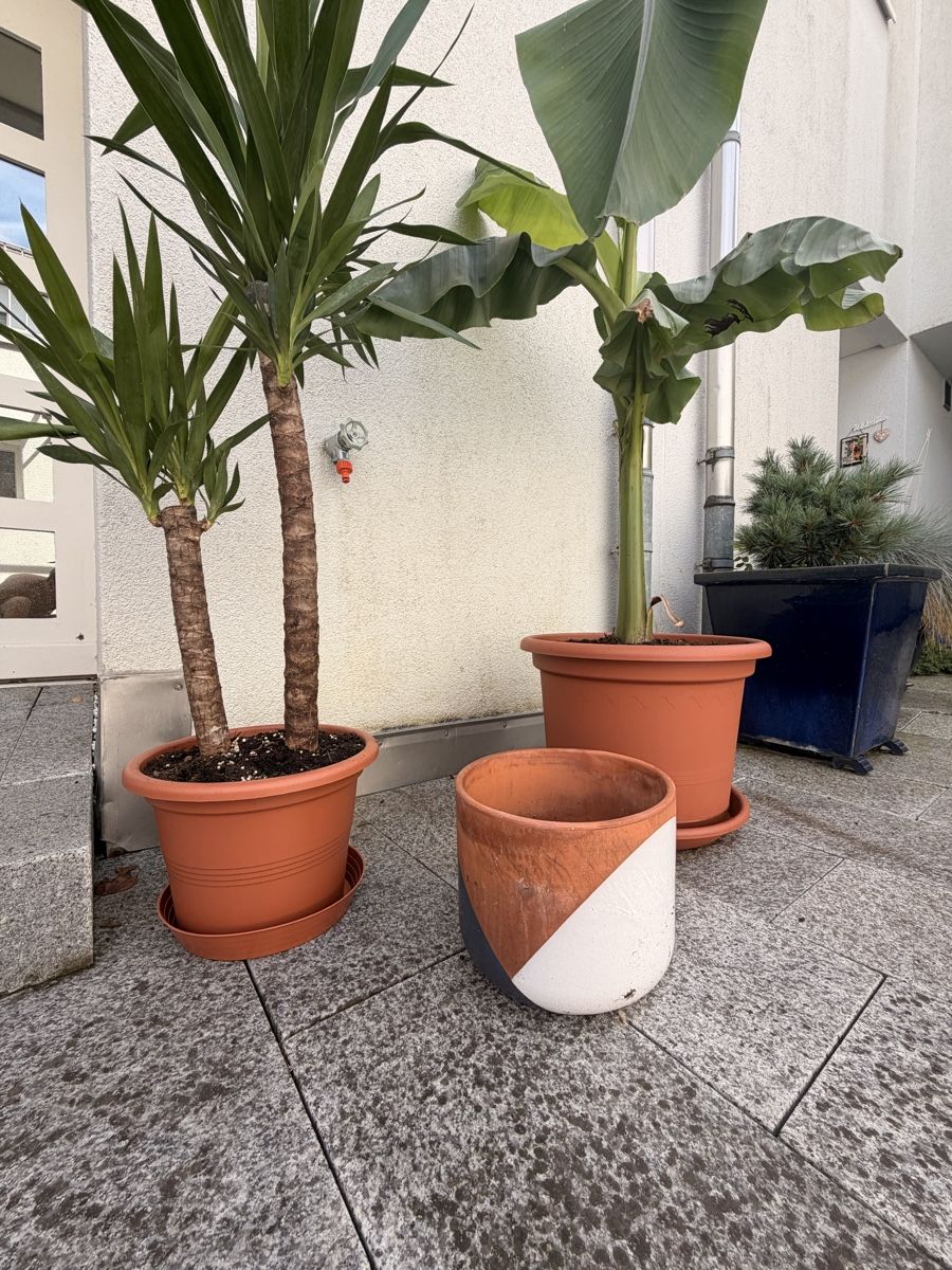 Töpfe: Keramik Topf – Gebraucht aus Luzern von Tsimont 6