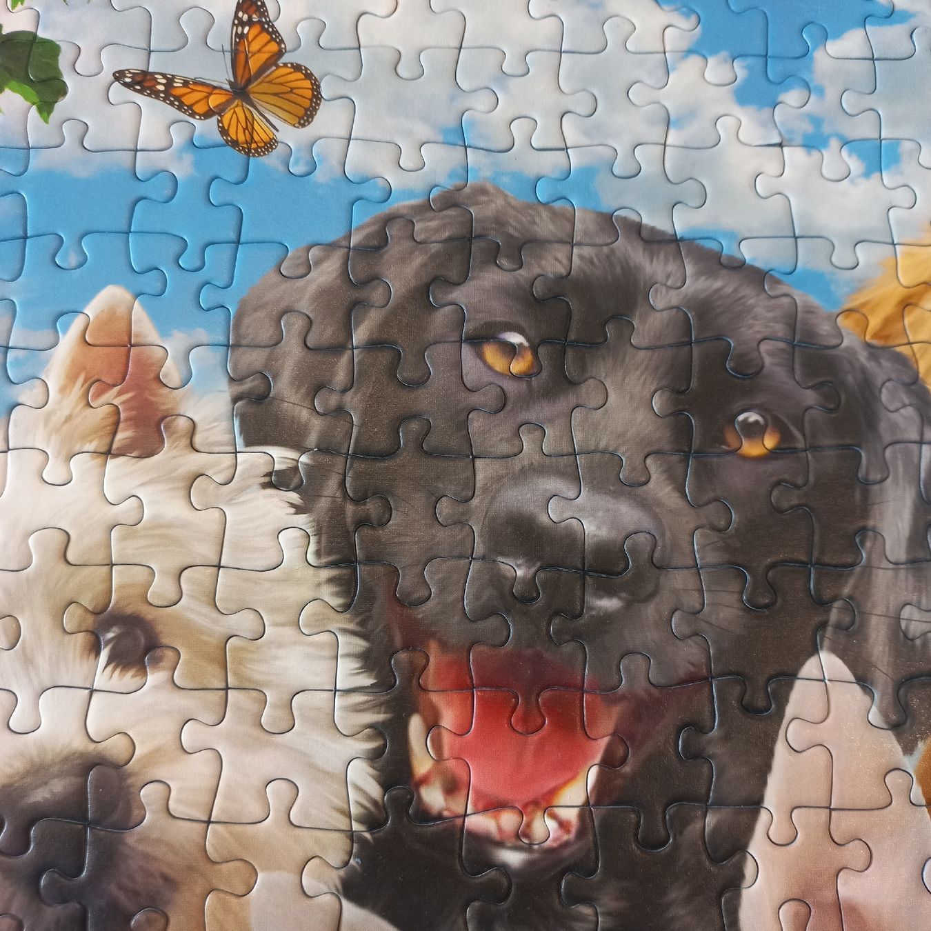 Ravensburger Puzzles: Ravensburger Puzzle 2×300 pièces  – Neu (gemäss Beschreibung) aus Dompierre FR von fat_xth5 8