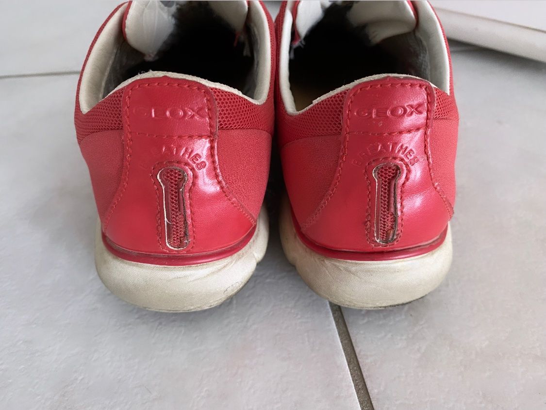 Geox Scarpe da donna: Geox Sneakers 36 – Usato da Ponte Tresa venduto da La_Vie_En_Rose 2