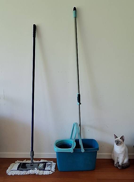 Giocattoli: Microfiber Floor Mop + Vileda with Extendable Handle – Usato da Zürich venduto da ema_zb95