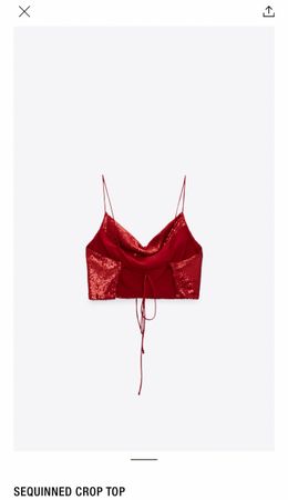 Zara Sequin Top - Party season is here! Size S/M.