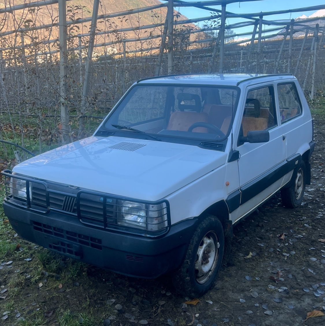 Fiat Autos: Fiat Panda 4x4 – Gebraucht aus St. Moritz von g_verkauf 7