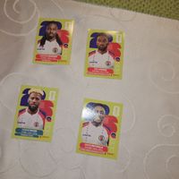 Panini