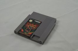 Swords and Serpents NES Spiel