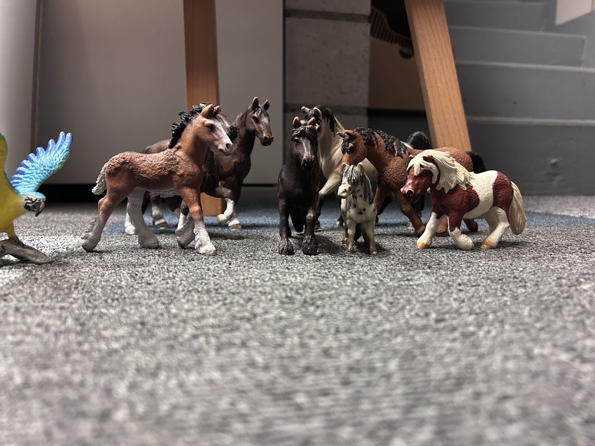 Schleich Statuette: Tierfiguren Set Pferde und Papagei – Usato da Kreuzlingen venduto da Faebuu