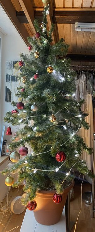 Tititex Winter-Gartenflagge – 91 X 152 Cm, Mit Weihnachtsbaum & Kätzchen – Doppelt Genäht, Wetterfest, Für Innen & Außen