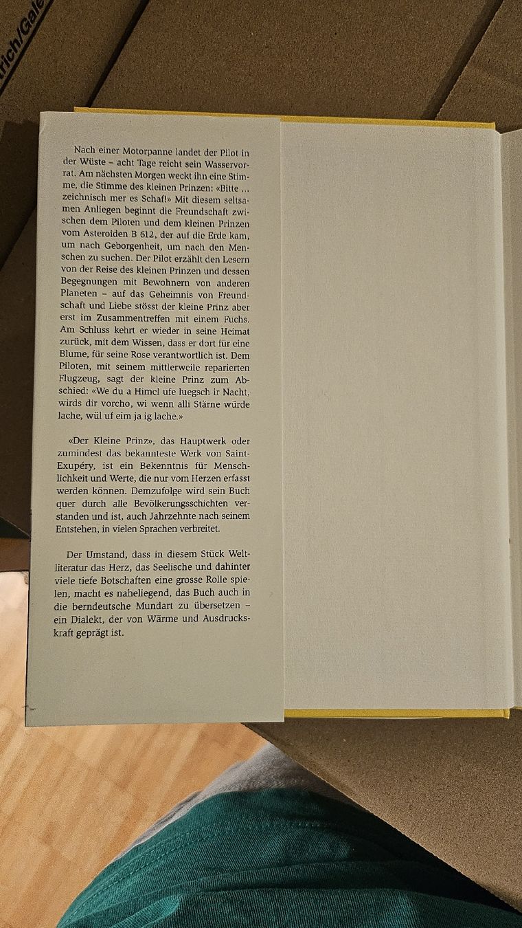 Livres: Der chly Pinz, Berndütsch – Neuf (Voir description) à Zürich par kar_c5mx 1
