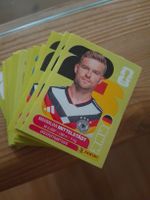 Mehr als 300 Panini Sticker 