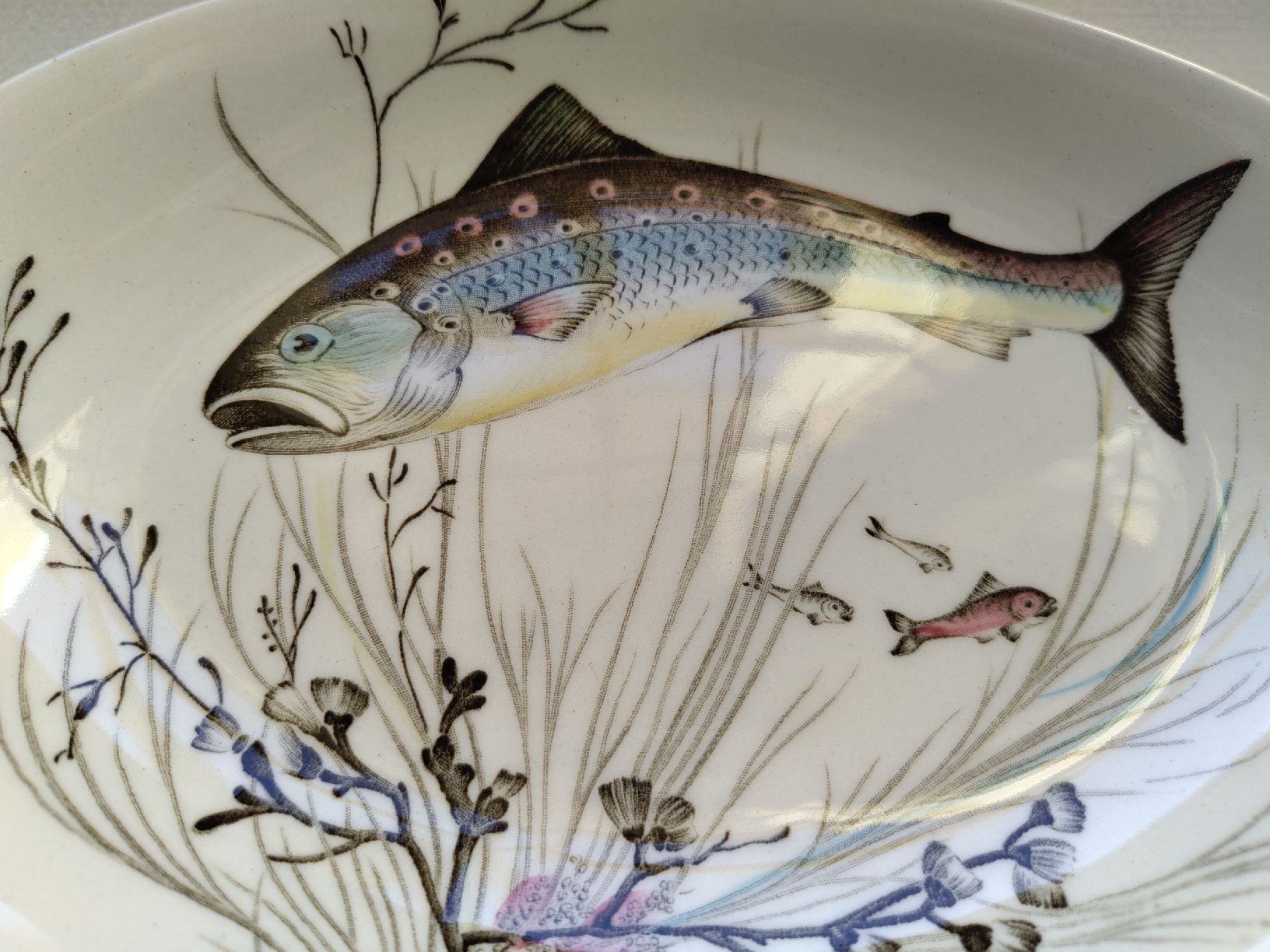 Johnson Brothers Plateaux: Johnson Bros Fish kleine Servierplatte oval – D'occasion à Biel/Bienne par DoNa82 2