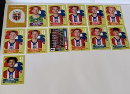 Panini WM 2026 - Norwegen Set 13 Stk inkl. Wappen & Teambild