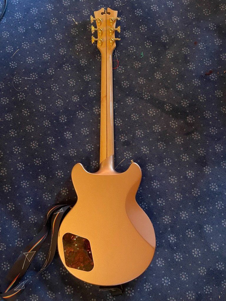 Strumenti musicali: D'Angelico Deluxe Brighton – Usato da Zermatt venduto da cch_hcp5 1