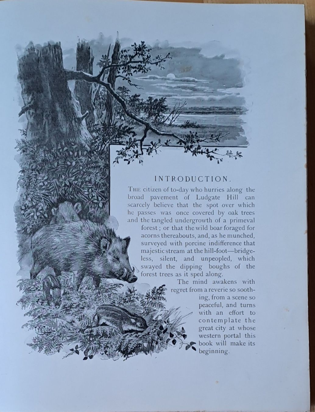 Bücher: Textile London 1895 – Gebraucht aus Trogen von Limboo 2