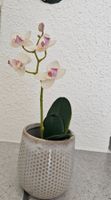 Künstliche Orchidee in Keramiktopf weiss/rosa 26cm