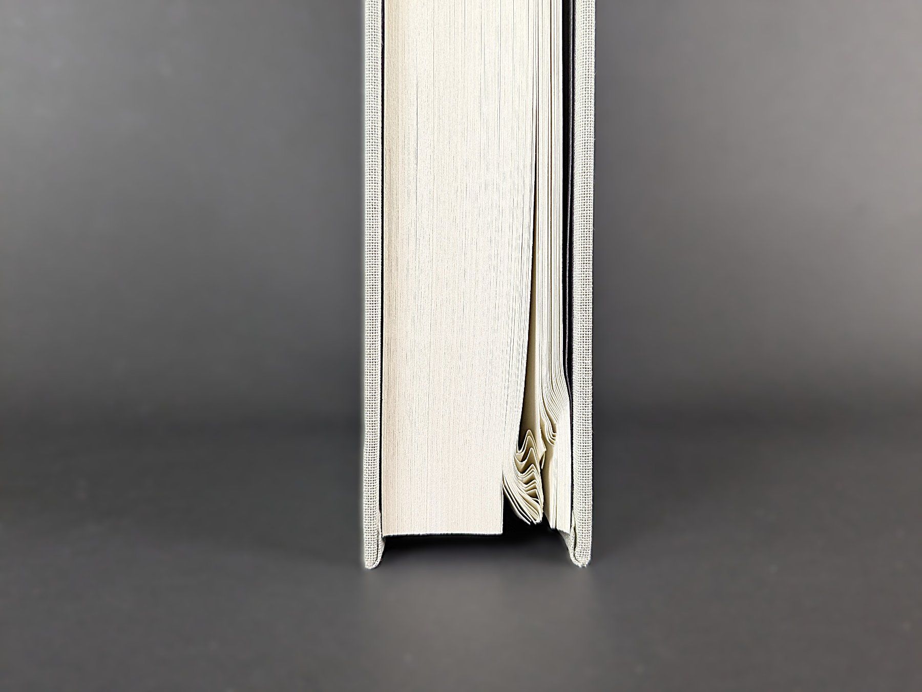 Libri: The Creative Act Buch Rick Rubin – Usato da Dintikon venduto da Restwert_Dintikon 2