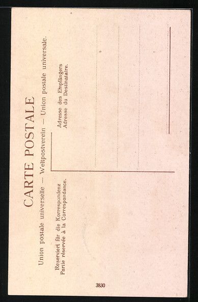 Cartoline postali: AK Kinder in Appenzeller Trachten – Usato da Berlin venduto da bartko-reher 1
