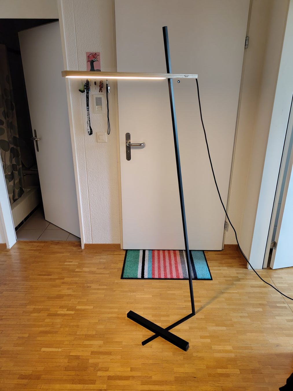 Lampade: WALD-HAUS Stehleuchte – Usato da Nänikon venduto da iva_kry9