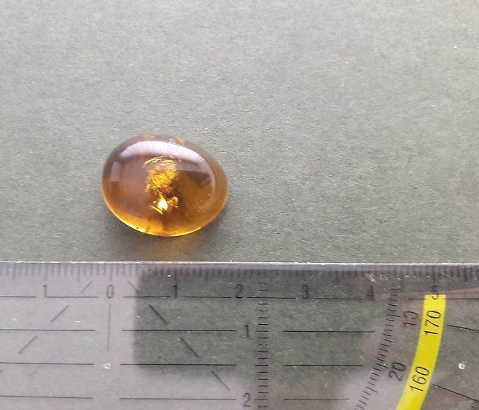 Fossili: Bernstein mit Inkluse (Fliege) – Nuovo (secondo la descrizione) da Orpund venduto da Steinway 1