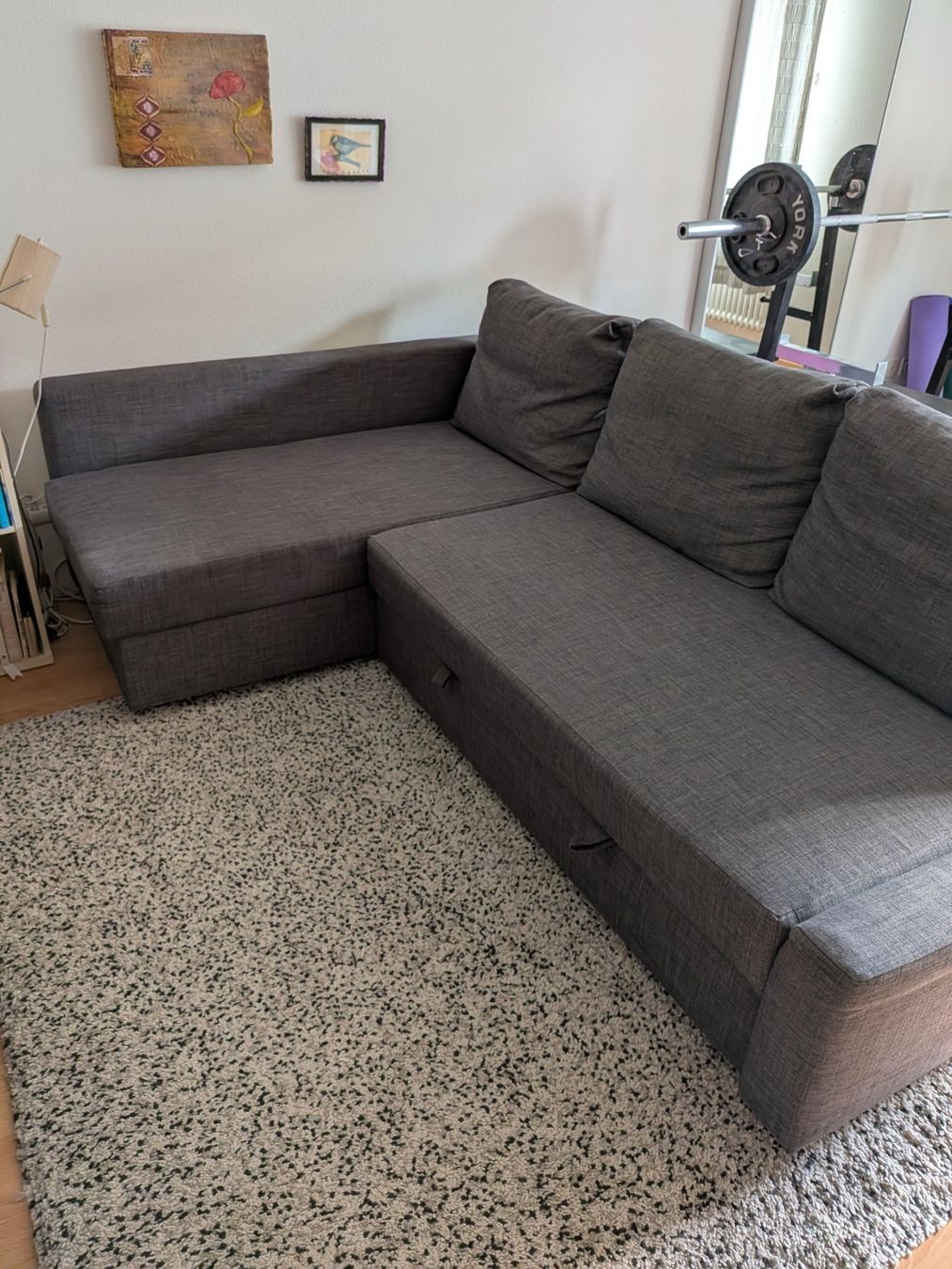 Ikea Divani: IKEA FRIHETEN Eckbettsofa mit Bettkasten – Usato da Schaffhausen venduto da kerberos 1