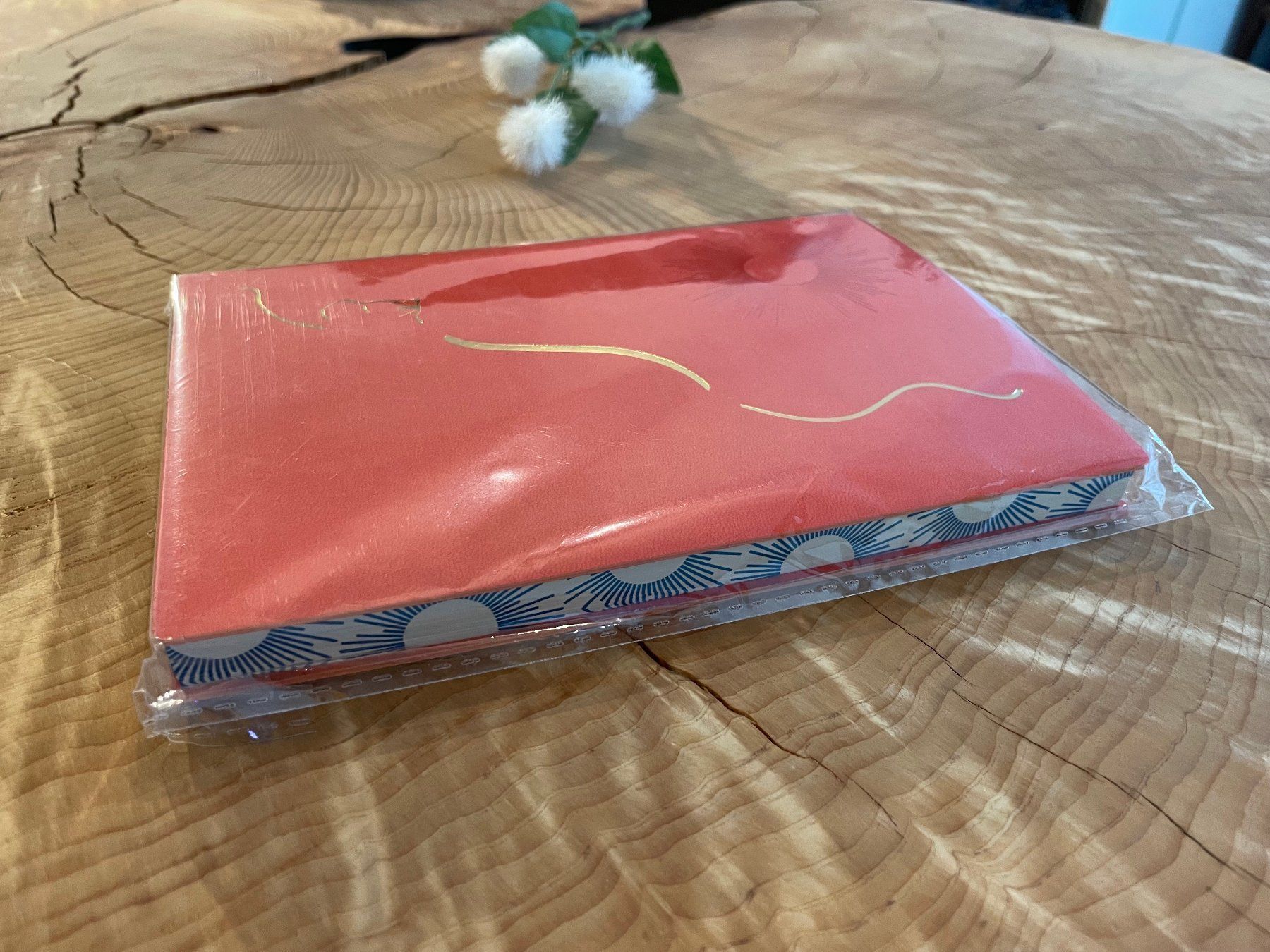 Schreibblöcke: NEU!!! "Katze" Notizbuch / carnet de notes motif chat A5 – Neu und originalverpackt aus Zürich von AnnaSa 1