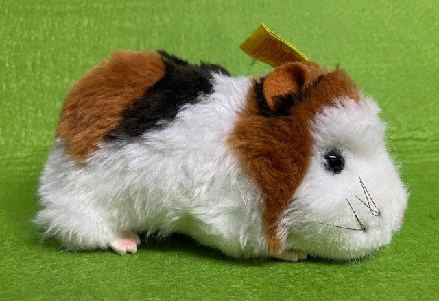 Steiff Giocattoli: Steiff Meerschweinchen – Usato da Oberrieden venduto da Ket25
