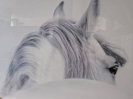 Grosses Acryl- Glasbild "weisses Pferd"