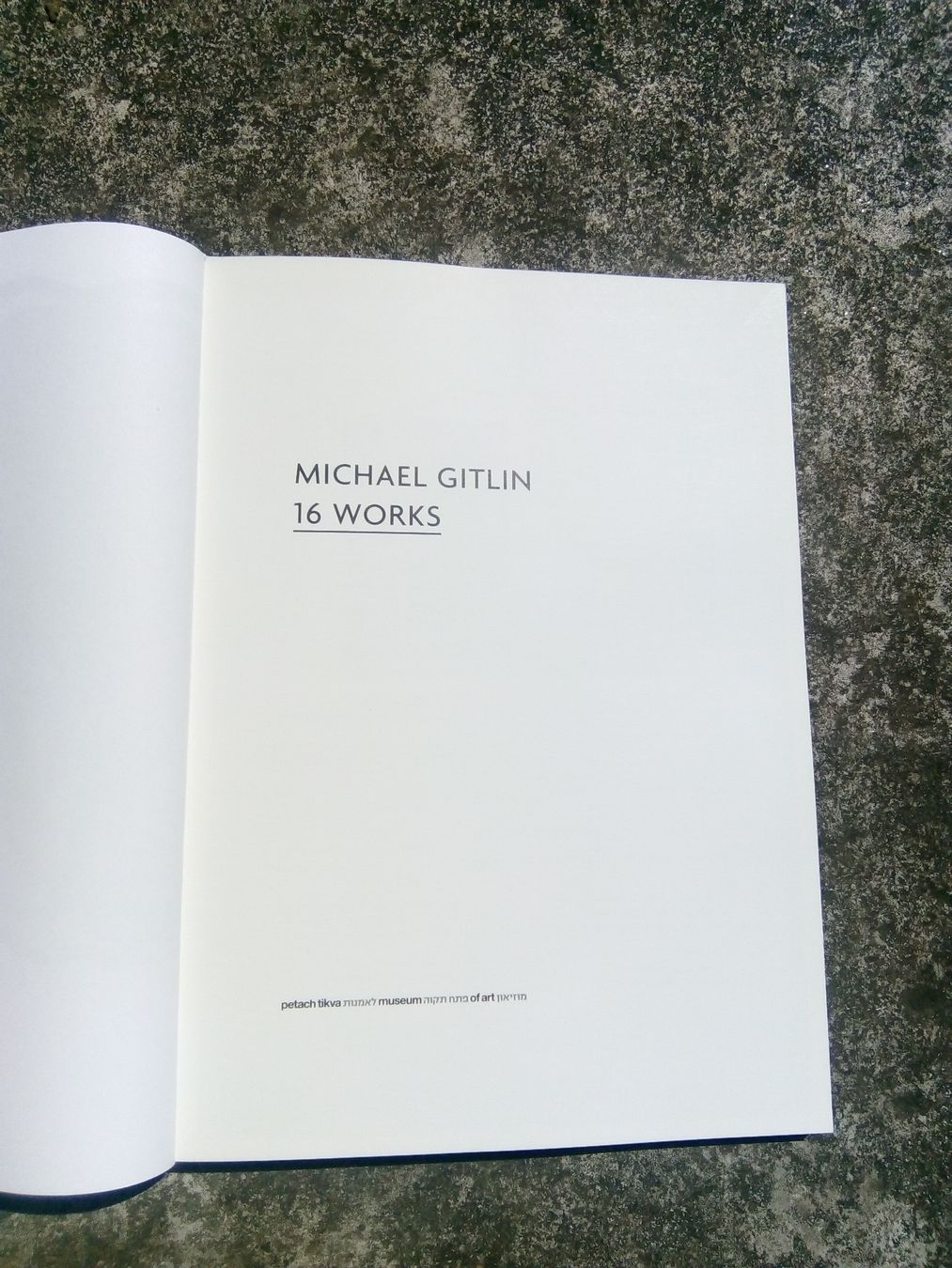 Libri: Michael Gitlin: 16 Works (Kunstbuch)   ©'2014 – Usato da St.Galllen venduto da elkaphone 2
