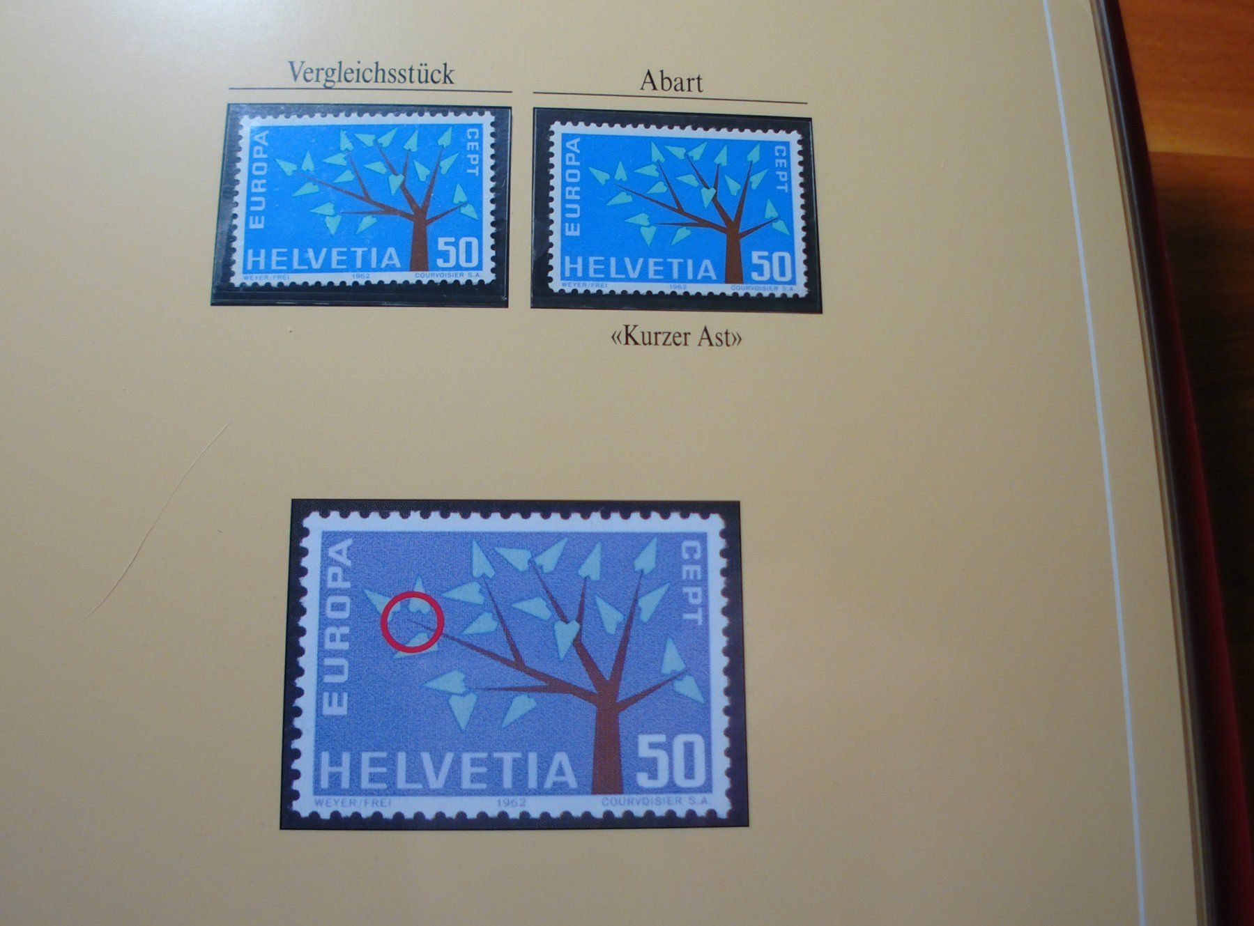 Tutti i francobolli: Abart Junger Baum 1962 **, "Kurzer Ast" 50 Rp – Usato da Niederwil AG venduto da morostahu