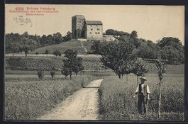 Schloss Habsburg, Ortsansicht mit Feldwe