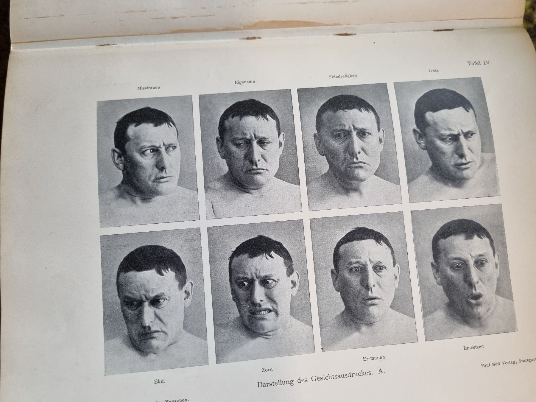 Libri: Die Gestalt des Menschen 1905 – Usato da Trachslau venduto da post35 5