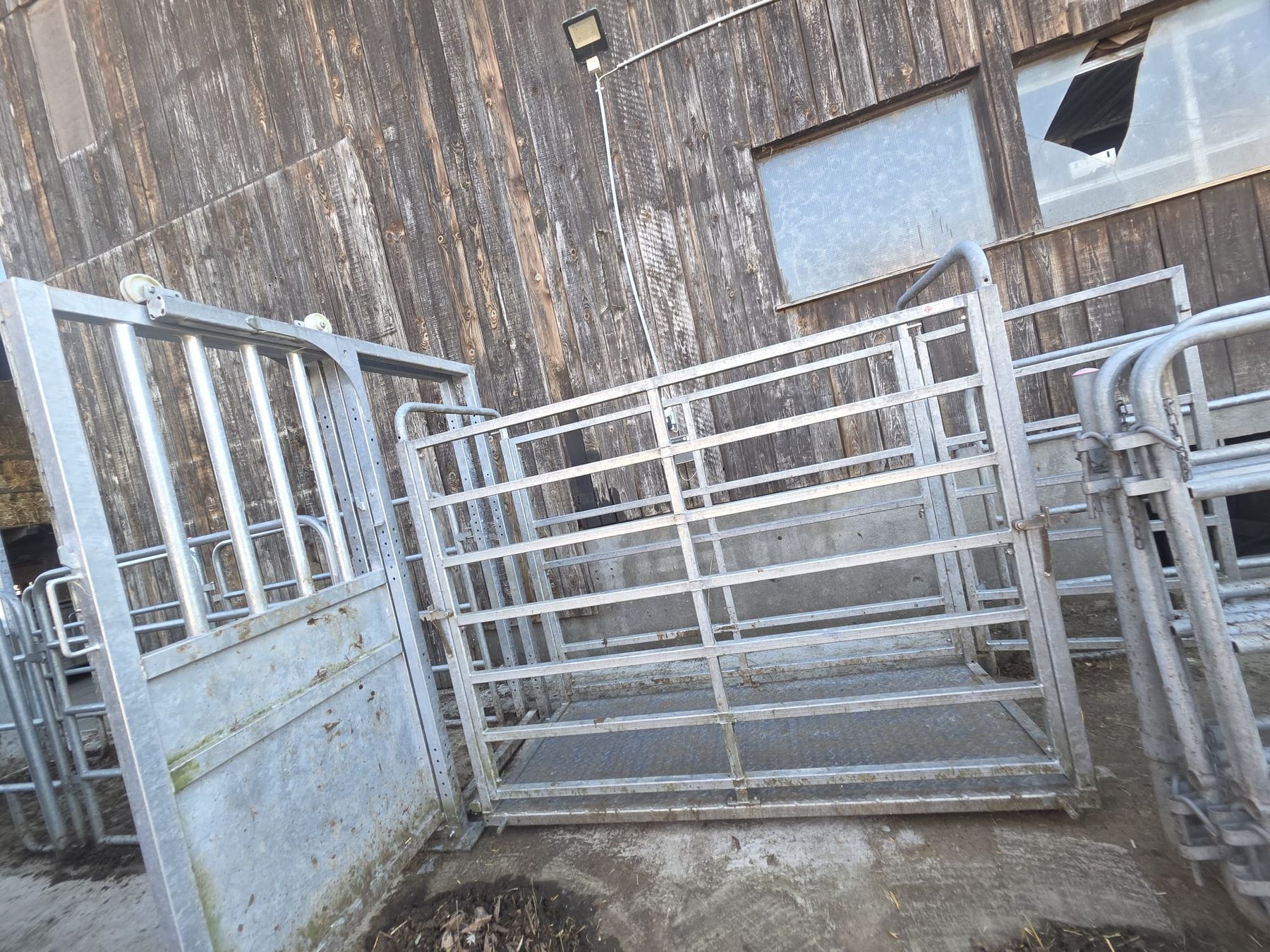 Altro in Accessori per animali: Viehwaage mit Wiegekäfig – Usato da Wohlen AG venduto da sachs505