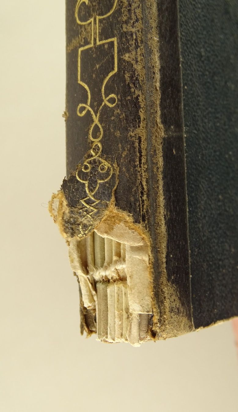 Libri: ALBUM MIT EINGEKLEBTEN BLUMENLITHOGRAPHIEN, BIEDERMEIER – Usato da Grüningen venduto da Kartensammler 2