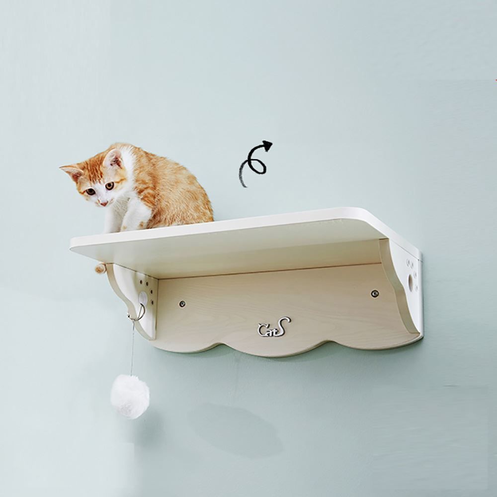 Kletterausrüstungen: CatS Design Katzen Kletterwand Set – Neu und originalverpackt aus Mönchengladbach von Zoopplier 2