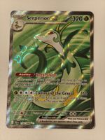 Serperior EX - 156/086 EN - Top Zustand!.