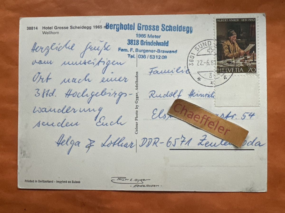 Cartoline postali: Hotel, große Scheidegg, Wellhorn￼ – Usato da Zürich venduto da Chaeffeler 1