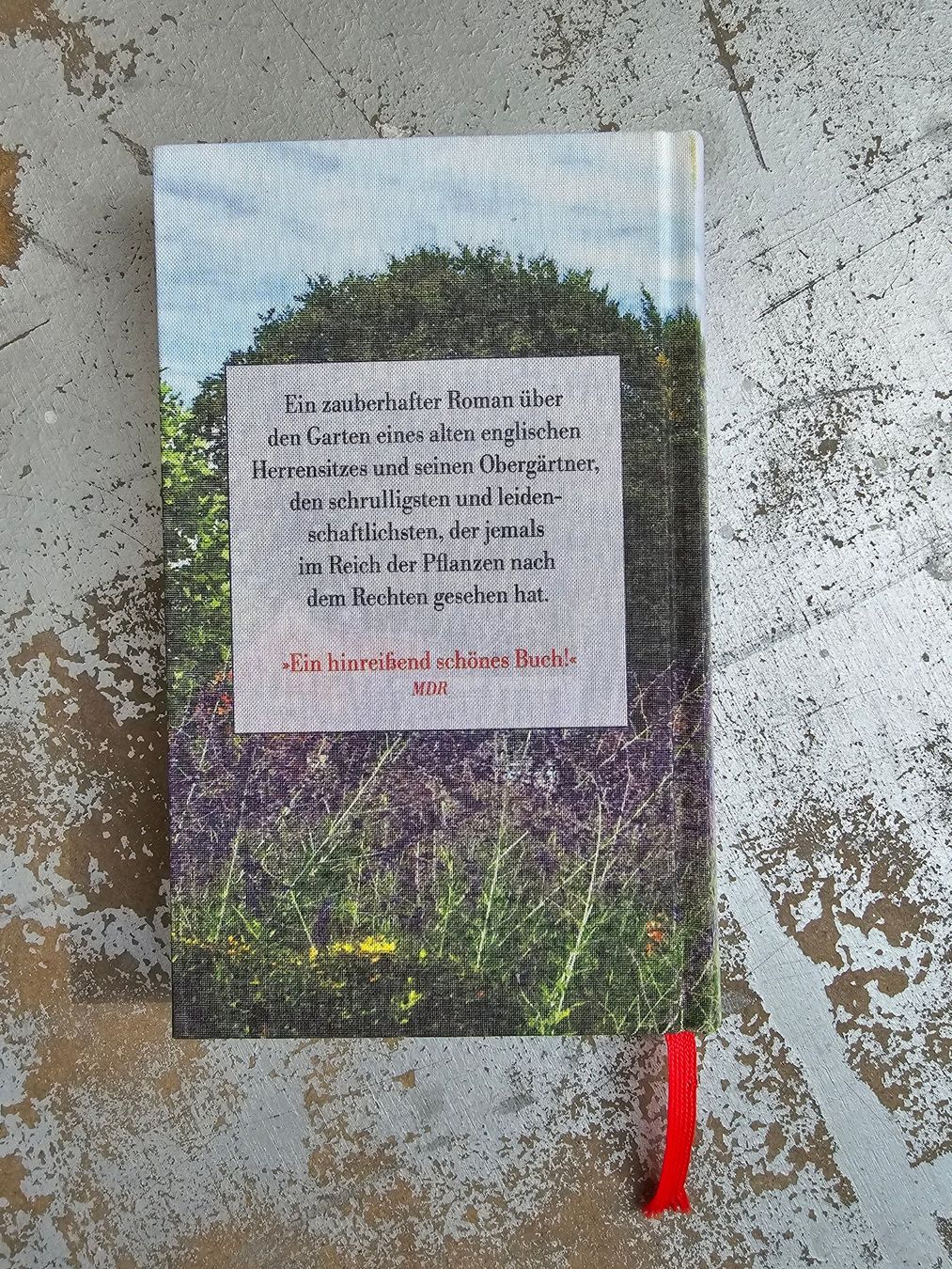 Bücher: Buch: Pinnegars Garten – Neu (gemäss Beschreibung) aus Romanshorn von Rachacha 1