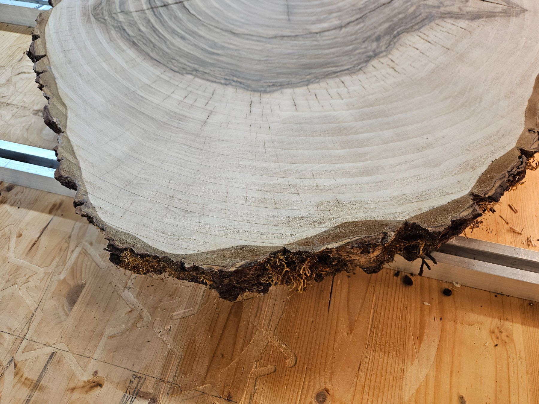 Articoli in legno: Nussbaum Holz Baumscheibe – Nuovo (secondo la descrizione) da Schangnau venduto da egli6.2 3