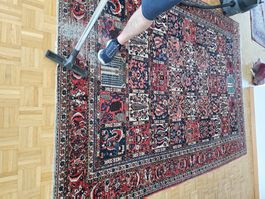Orientteppich handgeknüpft Iran Bachtijar Zustan...