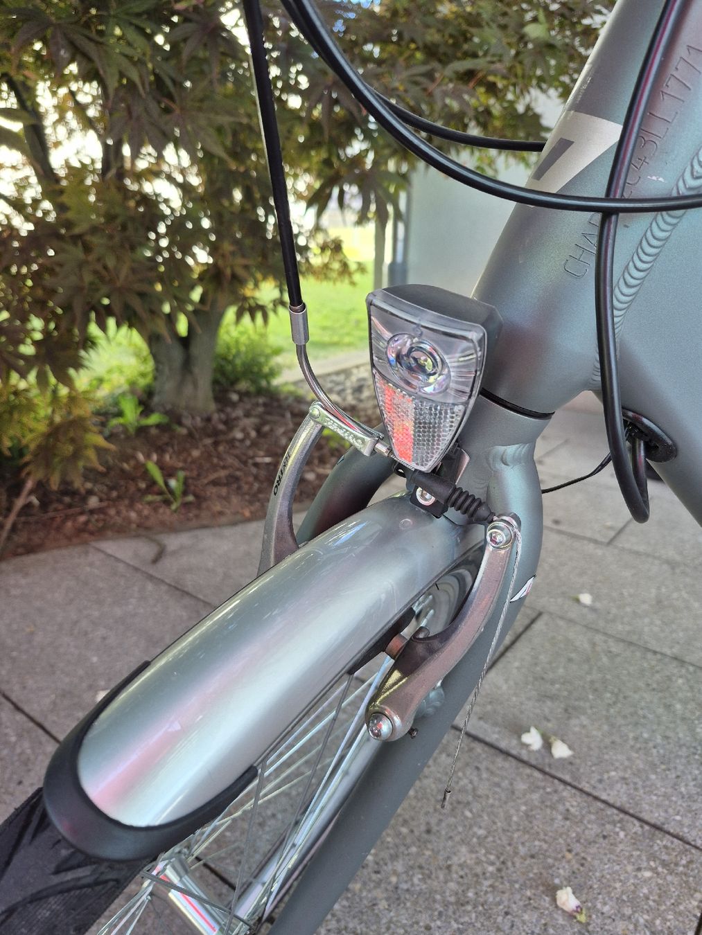 Leopard Biciclette: Leopard E-Bike Railway – Usato da Uznach venduto da dan_8m7d 7