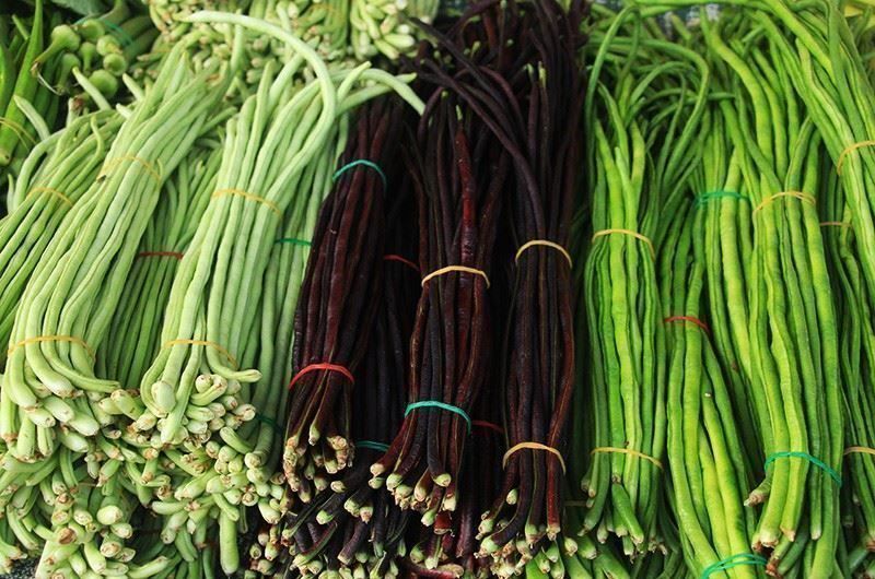 Piante & sementi: Haricot serpent géant rouge RARE 100g – Nuovo (secondo la descrizione) da Bremblens venduto da FIBONACCI369 2