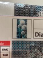 Diamond Painting Pustelblume