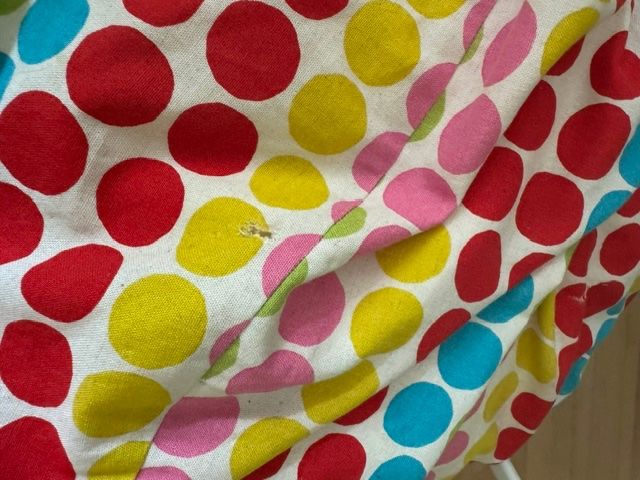 Coussins: Sitzsack  – D'occasion à Bern par kitten14 1