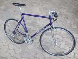 Mondia mit geradem Lenker