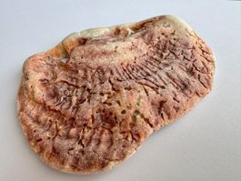 Huître fossilisée naturelle - Namibie