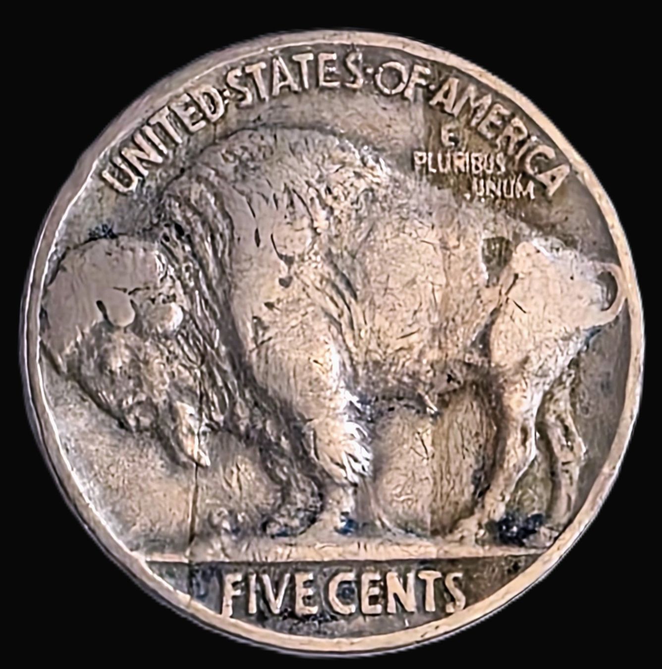 Tutti le monete: AMERIKA FIVE CENTS 1936 – Nuovo (secondo la descrizione) da winterthur venduto da CoinPassion 1