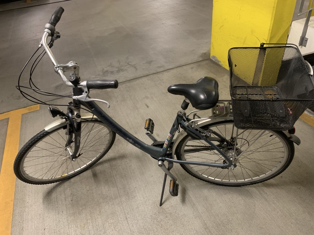 Villiger Velos: Villiger Damenfahrrad – Gebraucht aus Chur von lua_7j7m