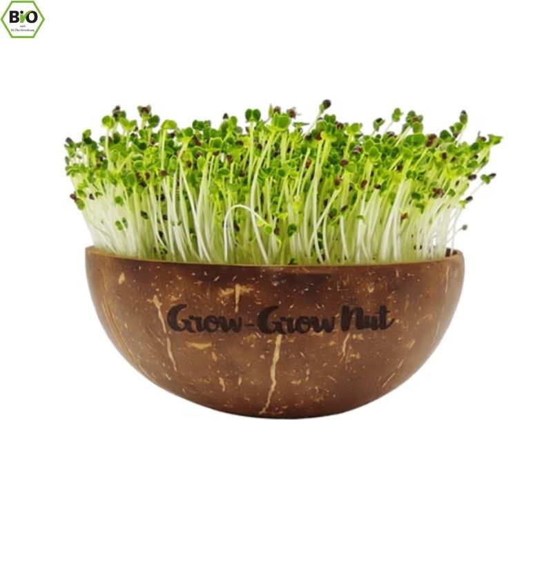Piante & sementi: BIO Sprossen-Set – Nuovo e nell'imballaggio originale da Wagenhausen venduto da M.Sieg 2