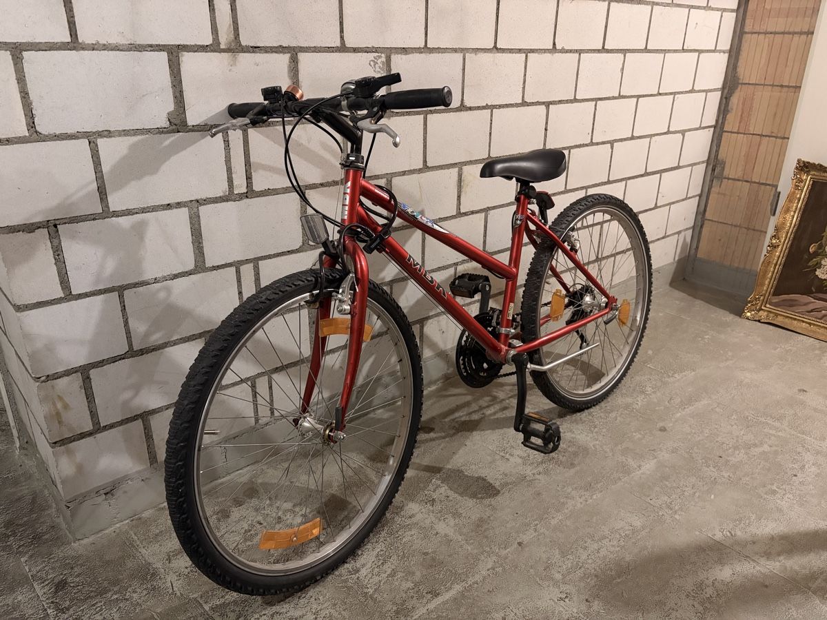 Biciclette: Rotes Velo – Usato da Winterthur venduto da emi_cgg7 1