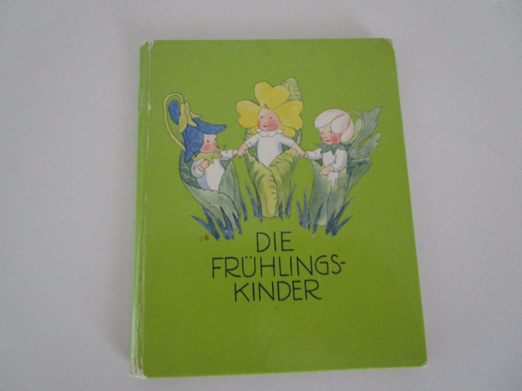 Livres: Die Frühlingskinder – D'occasion à Langenthal par majarose