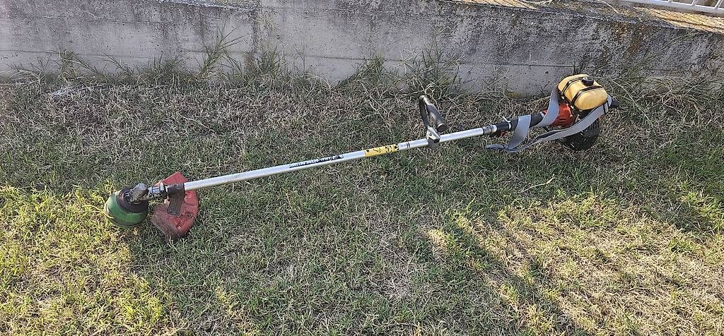 Tagliaerba: Rasentrimmer – Usato da Rorbas venduto da philips1 2