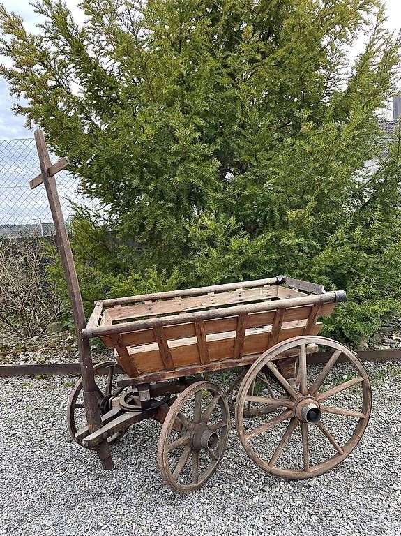 Transportwagen: Leiterwagen – Gebraucht aus Hagendorn von Fastrider6